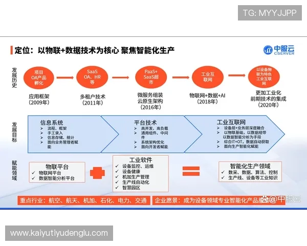 中国开云在中国市场的数字化转型与线上线下融合发展路径
