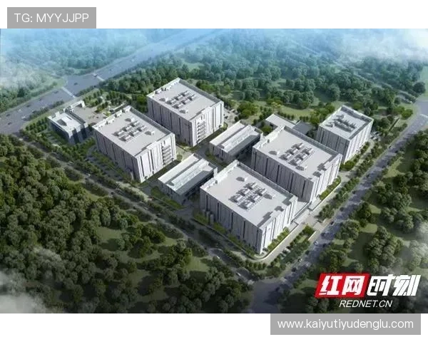 开云集团上海总部在华战略布局及其对中国市场的深远影响