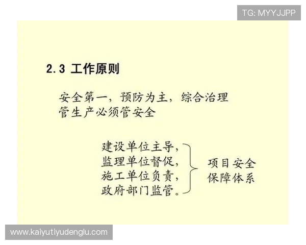 开云中国在线登录账号安全保障措施全面解析确保玩家个人信息安全与账号安全